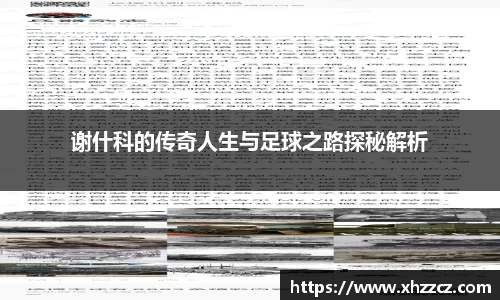 谢什科的传奇人生与足球之路探秘解析